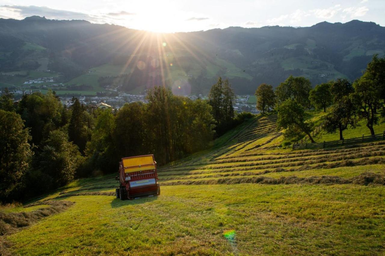 Appartements Lehenhof Sankt Johann im Pongau Exteriör bild