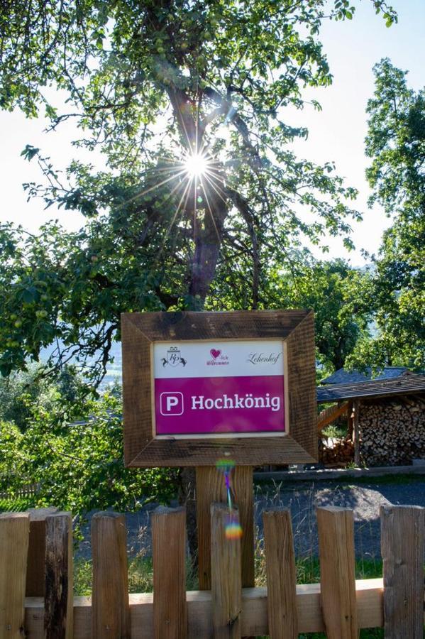 Appartements Lehenhof Sankt Johann im Pongau Exteriör bild